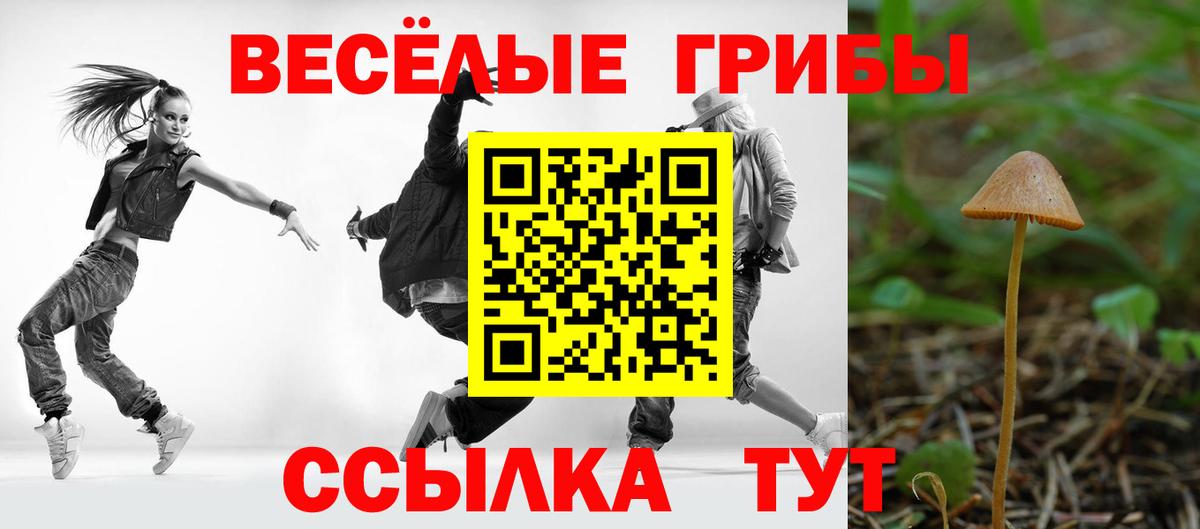 Галлюциногенные грибы Cubensis  Вход с VPN  Кумертау 